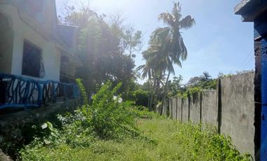 HOUSE AND LOT FOR SALE IN SAN JUAN, SIQUIJOR SIQ00167