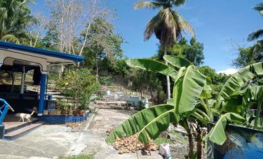 HOUSE AND LOT FOR SALE IN SAN JUAN, SIQUIJOR SIQ00167