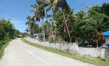 HOUSE AND LOT FOR SALE IN SAN JUAN, SIQUIJOR SIQ00167