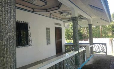 HOUSE AND LOT FOR SALE IN SAN JUAN, SIQUIJOR SIQ00167