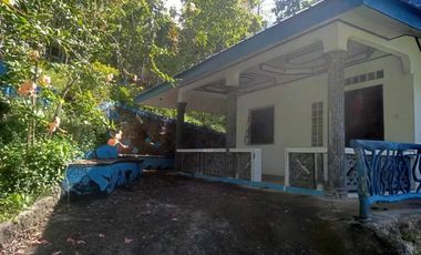 HOUSE AND LOT FOR SALE IN SAN JUAN, SIQUIJOR SIQ00167