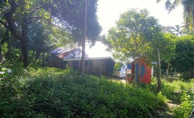 HOUSE AND LOT FOR SALE IN SAN JUAN, SIQUIJOR SIQ00167