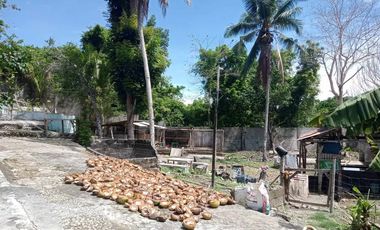 HOUSE AND LOT FOR SALE IN SAN JUAN, SIQUIJOR SIQ00167