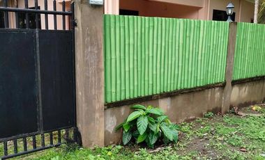 HOUSE AND LOT FOR SALE IN POBLACION ZAMBOANGUITA ID 15008