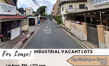 Lot for rent in F. Castillo Street, Lourdes Homes, Bambang, Pasig First District, Pasig, Eastern Manila District