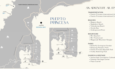 Own Palawan’s Next Eco‑Luxury Icon: Invest in Praya’s Mangrove‑Framed Paradise