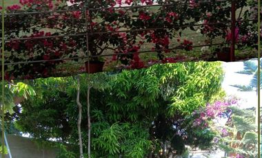 ALQUILER PARA NEGOCIO: CASA DE CAMPO EN CP SIPAN - CHICLAYO