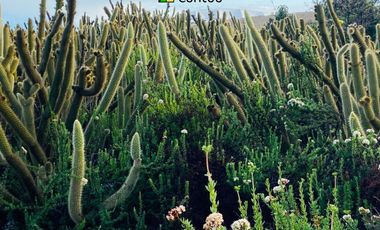 Casa en venta | Vista a montañas y naturaleza viva | Valle de Guadalupe