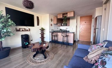 Arriendo departamento grande de un ambiente, para vivir solo o en pareja, cómodo, La Serena