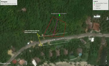 FOR SALE Vacant Agricultural Lot in Siargao