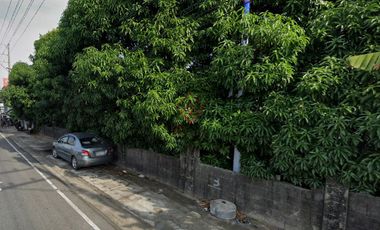 FOR RENT 11,074 Sqm Lot in San Miguel, Calasiao, Pangasinan