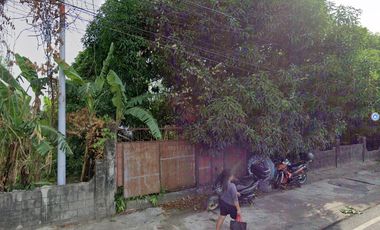 FOR RENT 11,074 Sqm Lot in San Miguel, Calasiao, Pangasinan