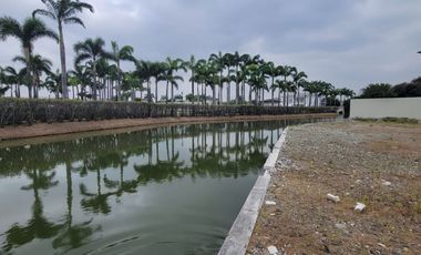 En venta exclusivo terreno esquinero en Lagos del Batán – Vía Samborondón