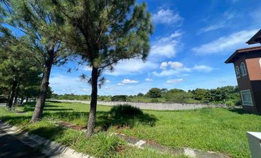 Residential Lot for sale in Portofino South Las Pinas 630sqm