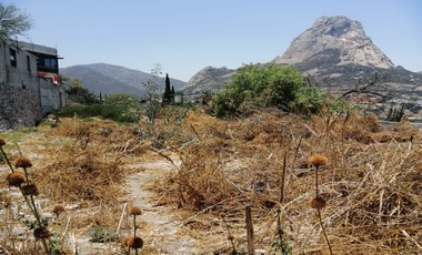 TERRENO EN VENTA EN BERNAL, QUERETARO
