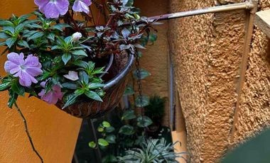 Casa en venta en la colonia, Roma Sur