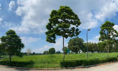 Lot for rent in Nuvali Boulevard, Santo Domingo, Santa Rosa, Laguna