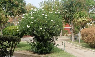 Venta Departamento Exelente estado estacionamienot 74 mtros de patio