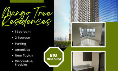 Brand New 2 Bedroom for Sale in Mango Tree Residences San Juan near Cubao, Greenhills, Ortigas CBD, Manila; perfect for personal use and rental business