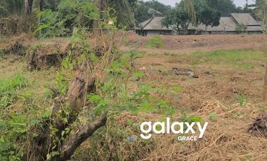 DIJUAL TANAH DI RAYA ANGANTAKA KUTRI ABIANSEMAL BADUNG, BALI