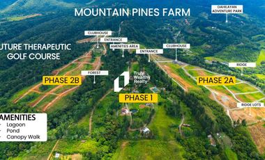 Residential Plot for sale in Bukidnon, Libona