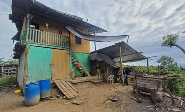 SE VENDE FINCA DE PALMA AFRICANA EN PRODUCCIÓN, 95 HAS. VICHE - QUININDÉ - ESMERALDAS - ECUADOR