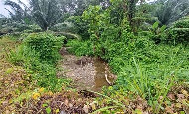 SE VENDE FINCA DE PALMA AFRICANA EN PRODUCCIÓN, 95 HAS. VICHE - QUININDÉ - ESMERALDAS - ECUADOR