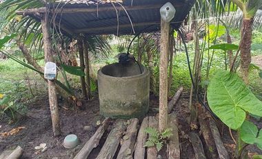 SE VENDE FINCA DE PALMA AFRICANA EN PRODUCCIÓN, 95 HAS. VICHE - QUININDÉ - ESMERALDAS - ECUADOR