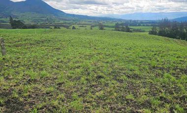 Hacienda Ganadera de venta en Aloag