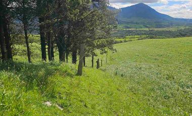 Hacienda Ganadera de venta en Aloag