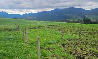 Hacienda Ganadera de venta en Aloag