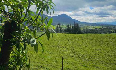 Hacienda Ganadera de venta en Aloag
