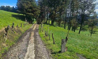 Hacienda Ganadera de venta en Aloag