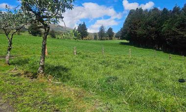 Hacienda Ganadera de venta en Aloag