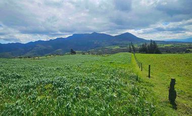 Hacienda Ganadera de venta en Aloag
