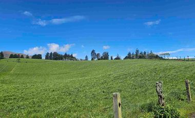 Hacienda Ganadera de venta en Aloag