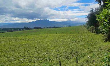 Hacienda Ganadera de venta en Aloag