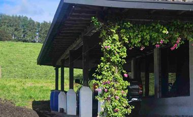 Hacienda Ganadera de venta en Aloag