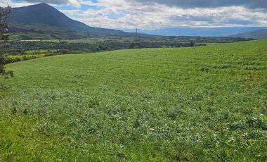 Hacienda Ganadera de venta en Aloag