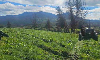 Hacienda Ganadera de venta en Aloag