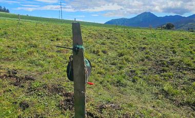 Hacienda Ganadera de venta en Aloag