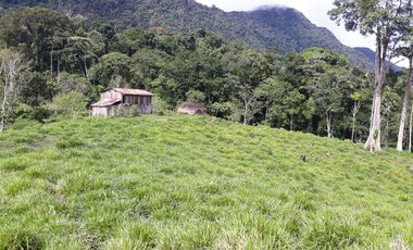 Ocasion Terreno - Banda De Shilcayo Tarapoto