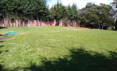 Renta, ideal para canchas o bodegas