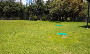 Renta, ideal para canchas o bodegas