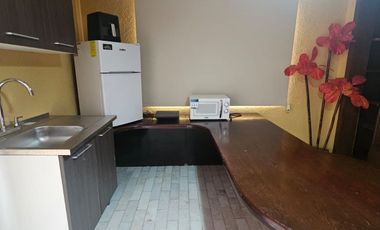 Departamento Tipo Loft Colonia Las Torres, Mty.