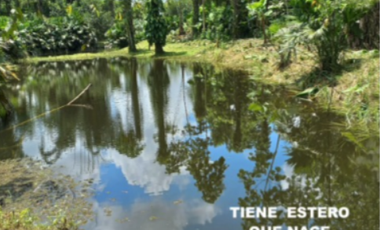 FINCA EN VENTA
