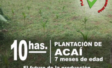 FINCA EN VENTA