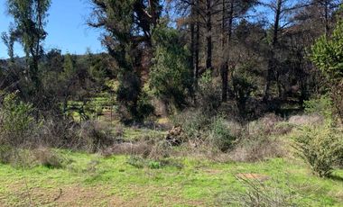 VENTA  PARCELA VILLA ALEMANA 15.000 M2 OPORTUNIDAD INVERSIÓN, REBAJADA!