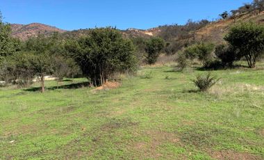 VENTA  PARCELA VILLA ALEMANA 15.000 M2 OPORTUNIDAD INVERSIÓN, REBAJADA!