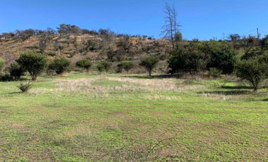 VENTA  PARCELA VILLA ALEMANA 15.000 M2 OPORTUNIDAD INVERSIÓN, REBAJADA!